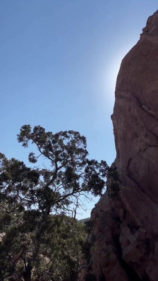 Post 2 by Mitchel Wu on TikTok (video)