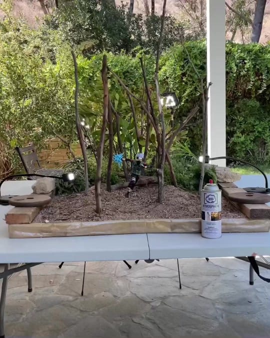 Post 9 by Mitchel Wu on TikTok (video)