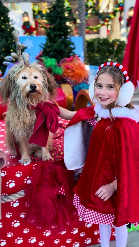 Post 4 by Jill from Orange County on TikTok (video)
