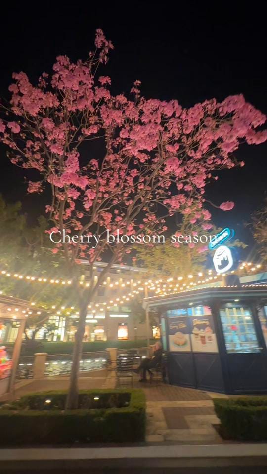 Post 7 by luckygirl64 on TikTok (video)