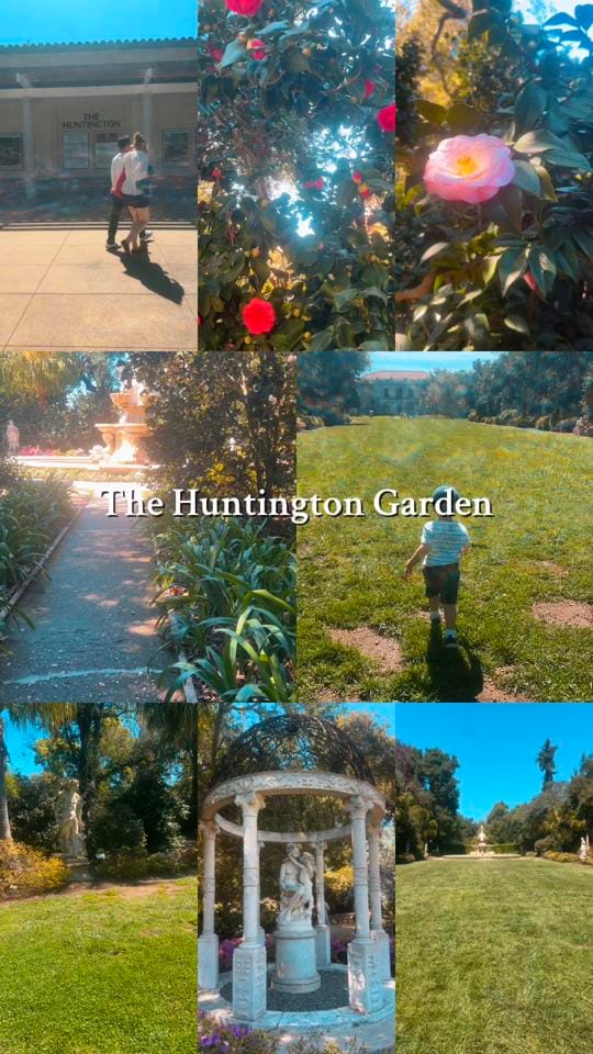 Post 1 by luckygirl64 on TikTok (video)