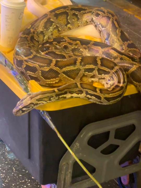Post 6 by luckygirl64 on TikTok (video)