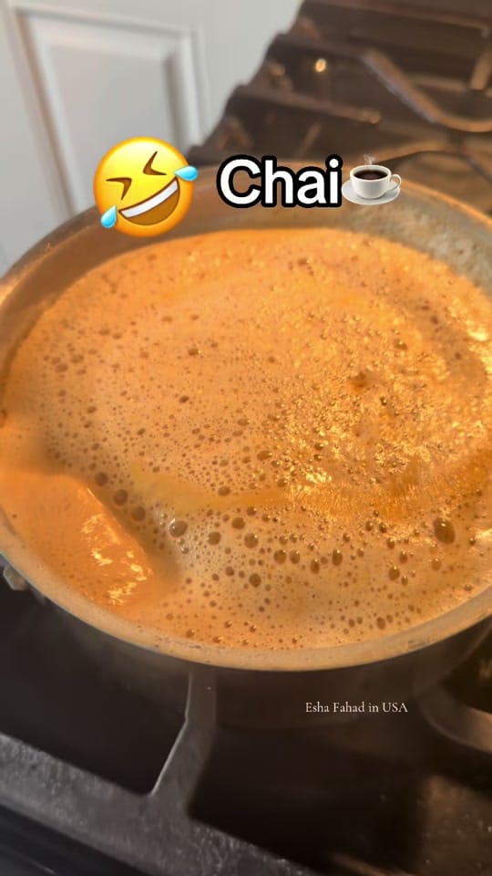 Post 8 by Esha Fahad in usa🇺🇸🇵🇰 on TikTok (video)