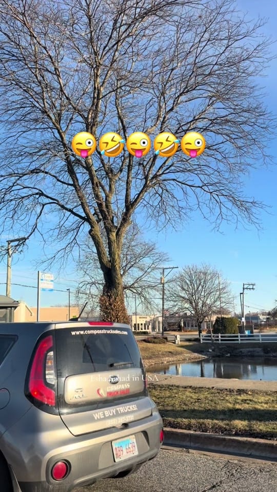 Post 3 by Esha Fahad in usa🇺🇸🇵🇰 on TikTok (video)