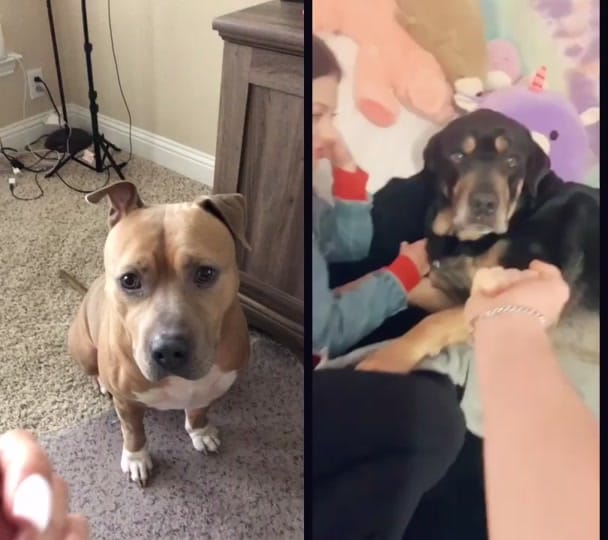 Post 10 by C.R.Lee-DFW Content Creator on TikTok (video)