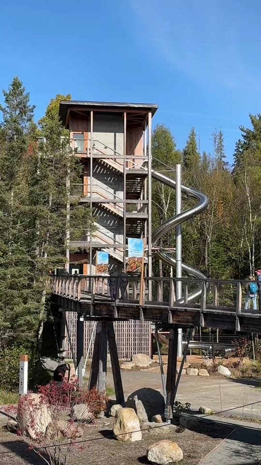Post 3 by Jennifer Broome on TikTok (video)