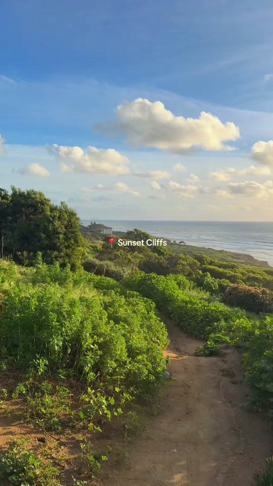 Post 7 by Kristina Headington on TikTok (video)