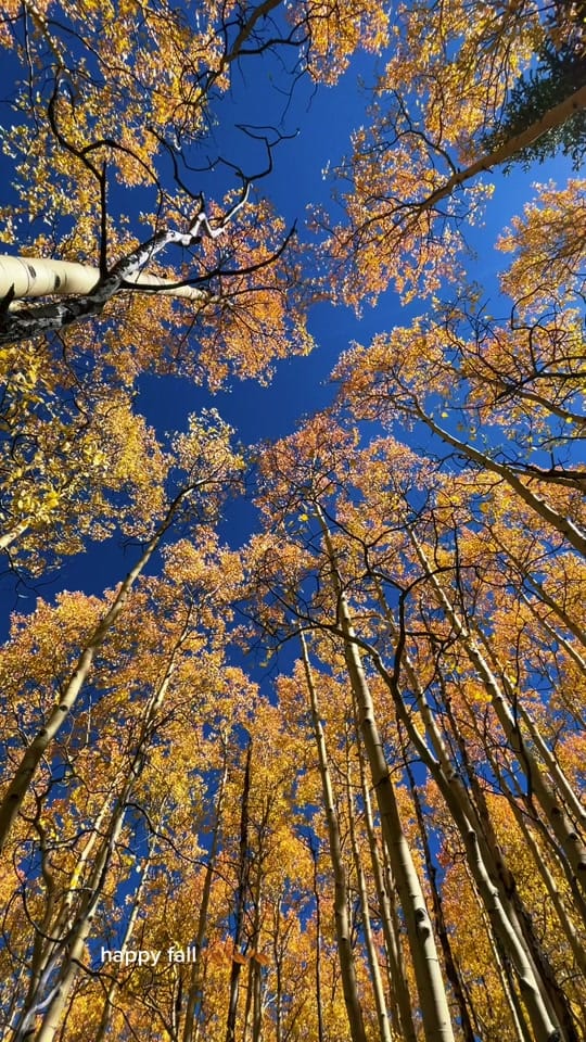 Post 6 by Lauren Casino on TikTok (video)