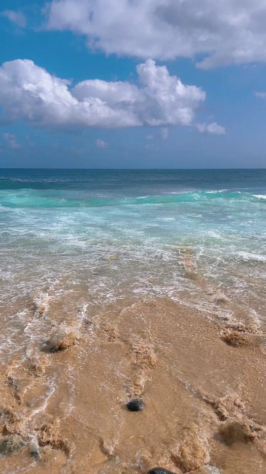 Post 4 by Lauren Casino on TikTok (video)