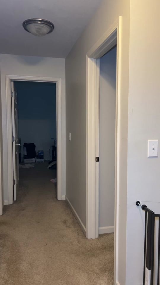 Post 5 by ekg26 on TikTok (video)