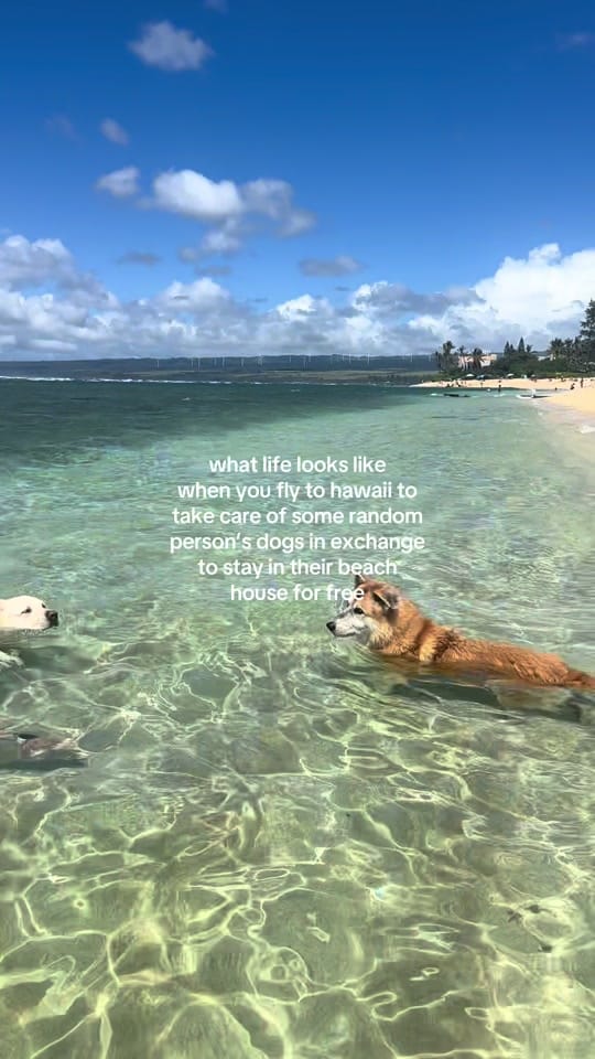 Post 10 by Lucy Carpenter on TikTok (video)