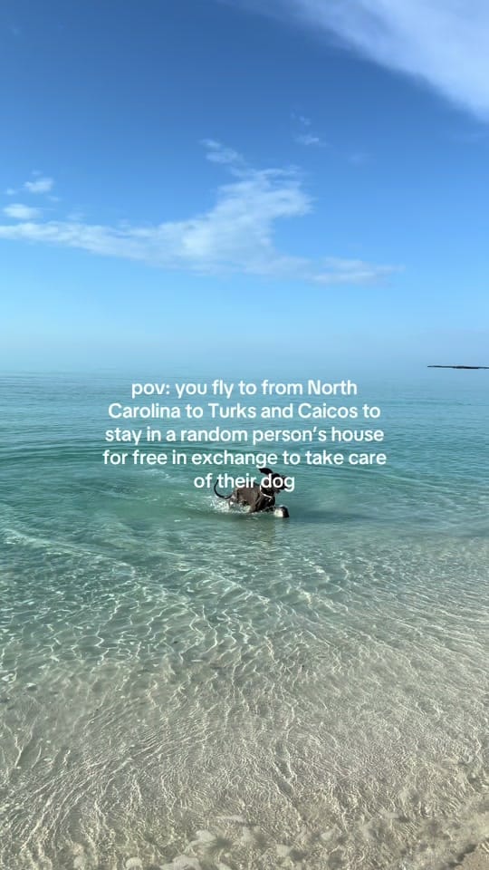 Post 7 by Lucy Carpenter on TikTok (video)