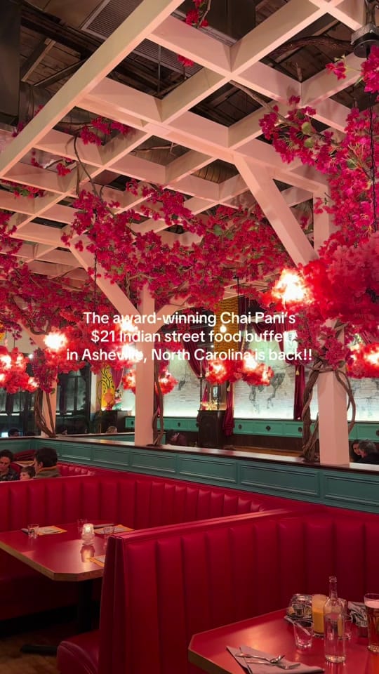 Post 5 by Lucy Carpenter on TikTok (video)