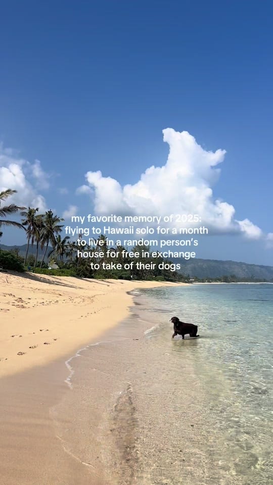 Post 8 by Lucy Carpenter on TikTok (video)