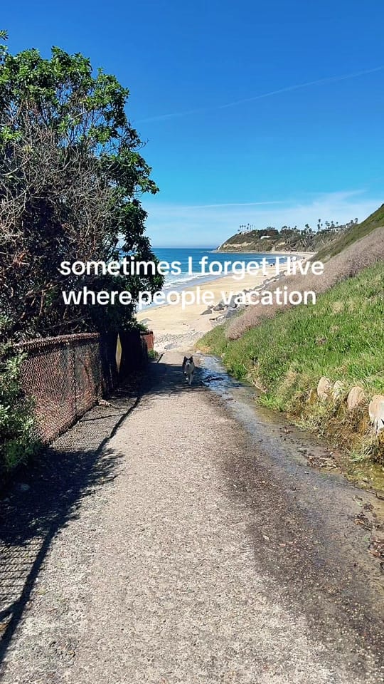 Post 4 by Katie O :) on TikTok (video)