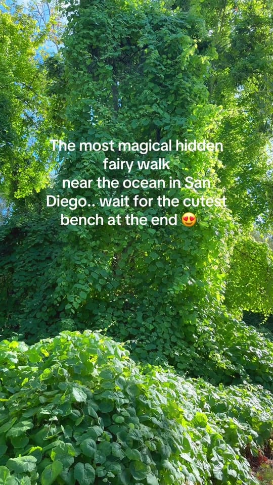 Post 10 by Katie O :) on TikTok (video)