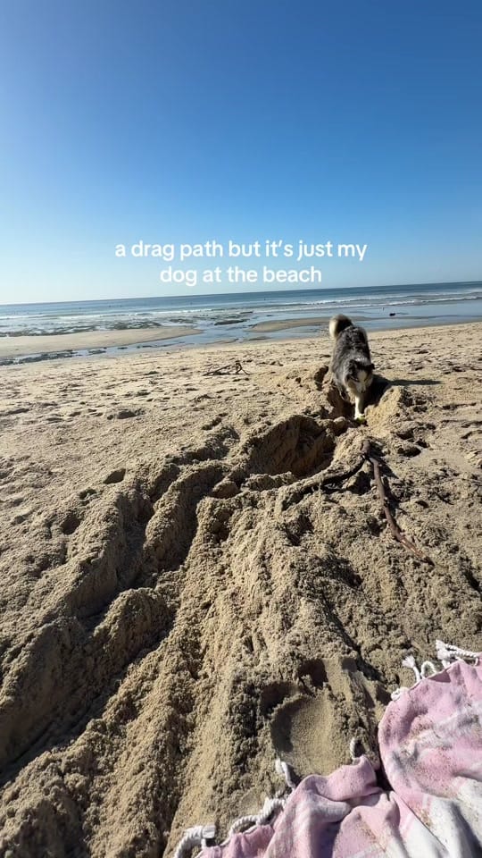 Post 7 by Katie O :) on TikTok (video)