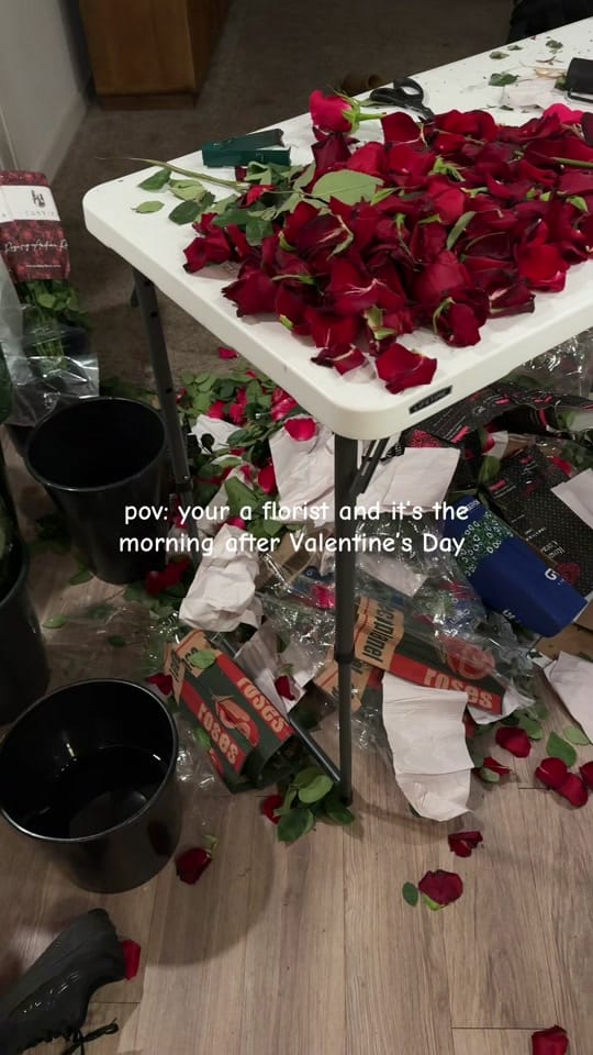 Post 9 by Crissy on TikTok (video)