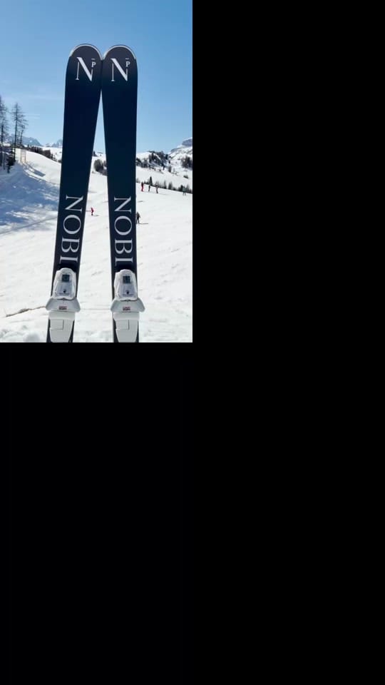Post 4 by Noble Panacea on TikTok (video)