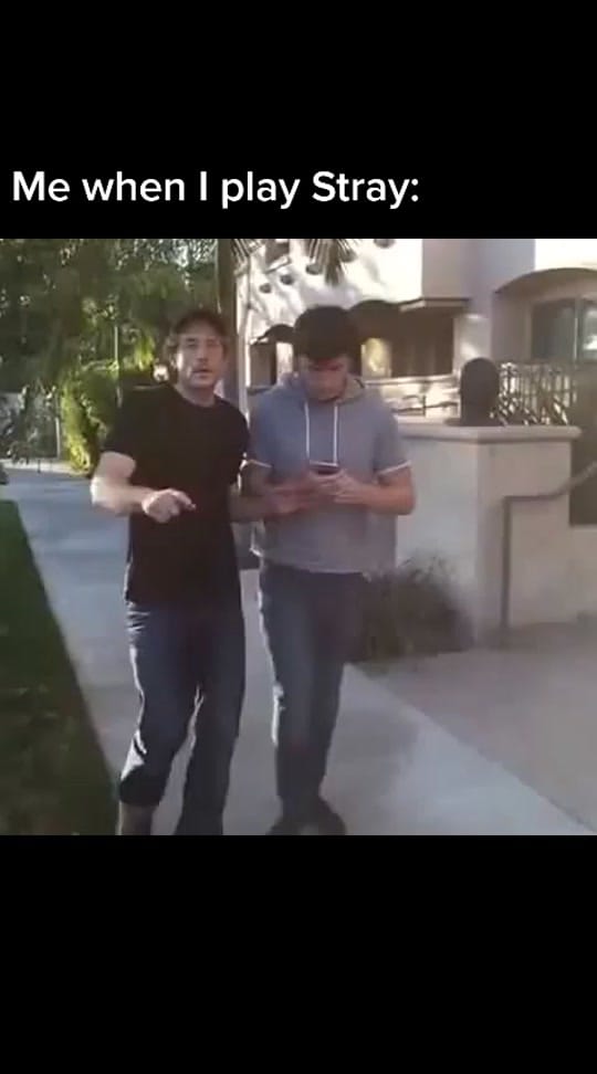Post 9 by TMossBoss on TikTok (video)