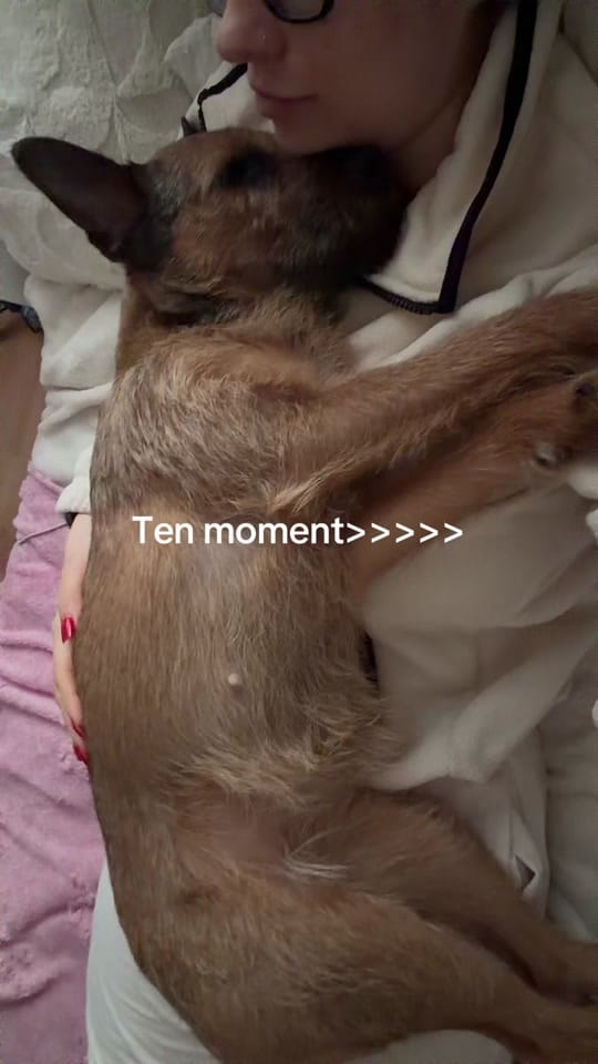 Post 8 by anka 🍒 | ig: @famous_anka on TikTok (video)