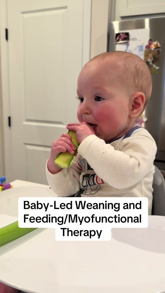 Post 3 by Molly Jo on TikTok (video)