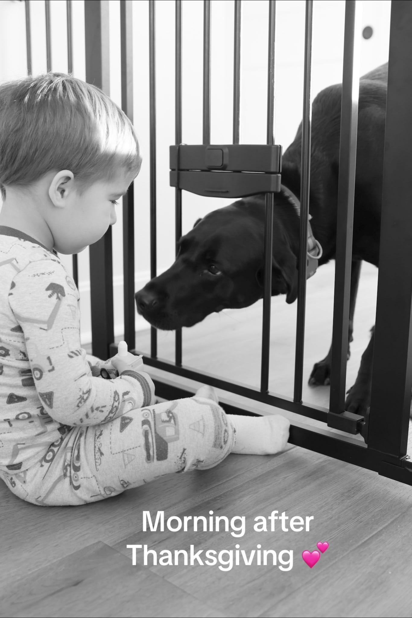 Post 9 by Molly Jo on TikTok (video)