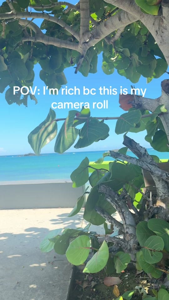 Post 6 by dnl__b on TikTok (video)