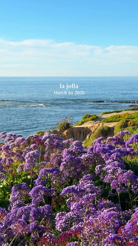 Post 7 by Talia | Travel & Lifestyle on TikTok (video)