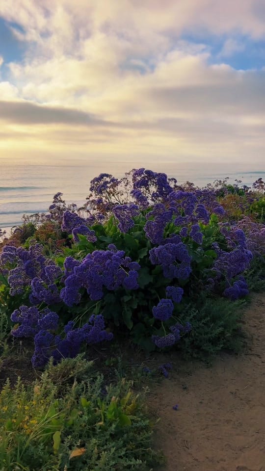 Post 1 by The Overbecks on TikTok (video)