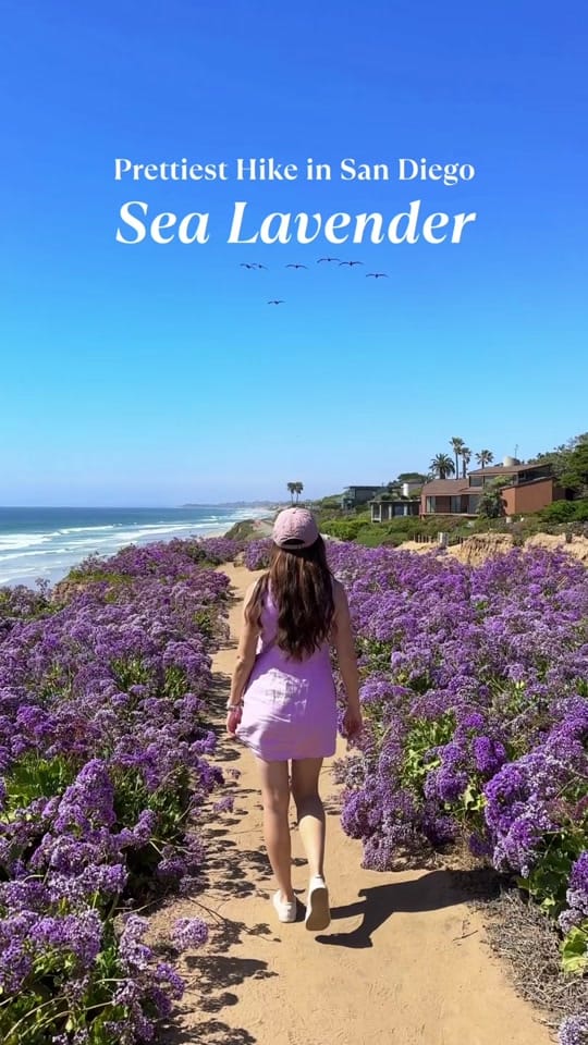 Post 3 by Talia | Travel & Lifestyle on TikTok (video)