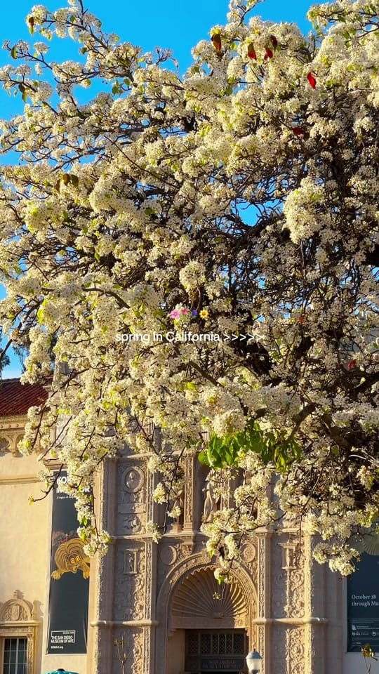 Post 2 by Talia | Travel & Lifestyle on TikTok (video)