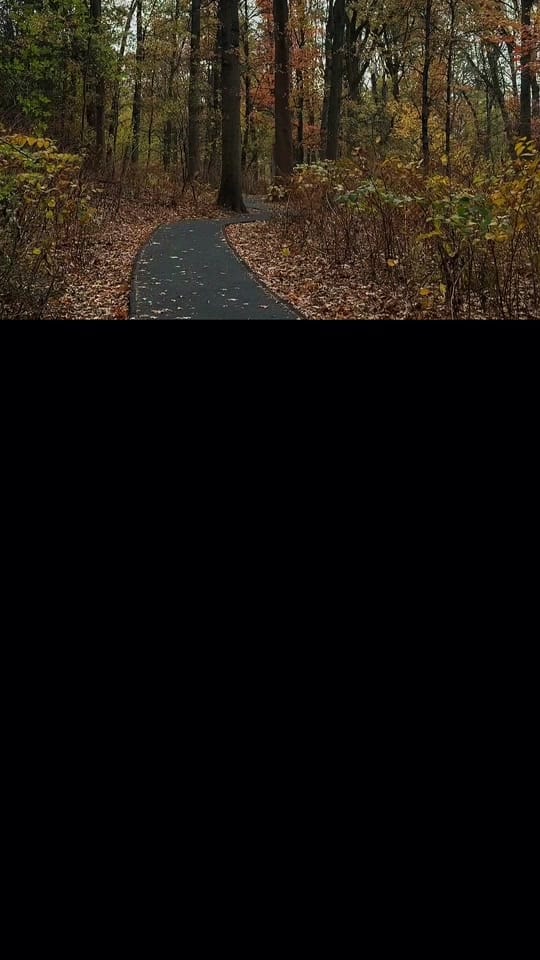 Post 2 by Yadley Joseph on TikTok (video)