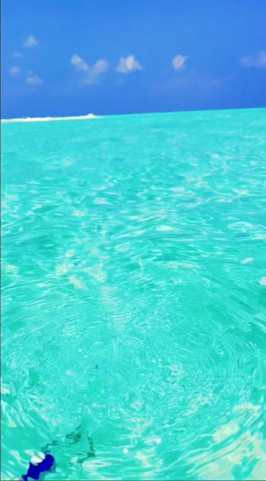 Post 10 by sallytrubella on TikTok (video)