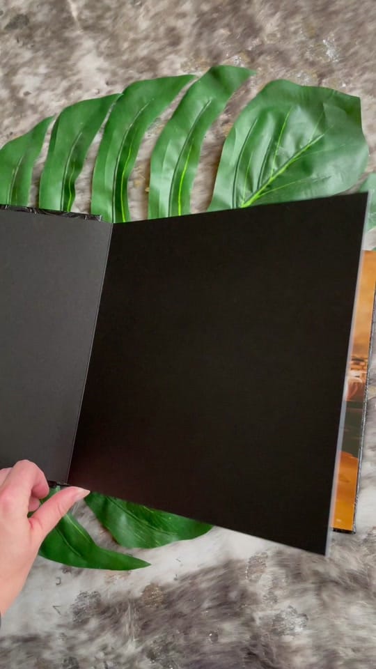 Post 10 by Haley | Wisconsin Photographer on TikTok (video)