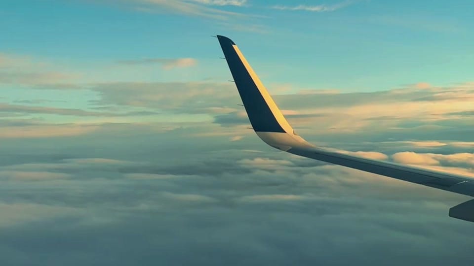 Post 7 by lifebysun on TikTok (video)