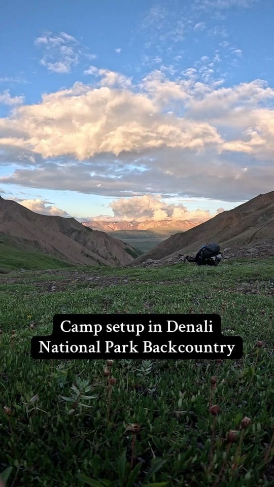 Post 7 by beebopadventures on TikTok (video)