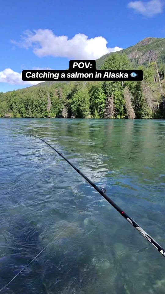 Post 5 by beebopadventures on TikTok (video)