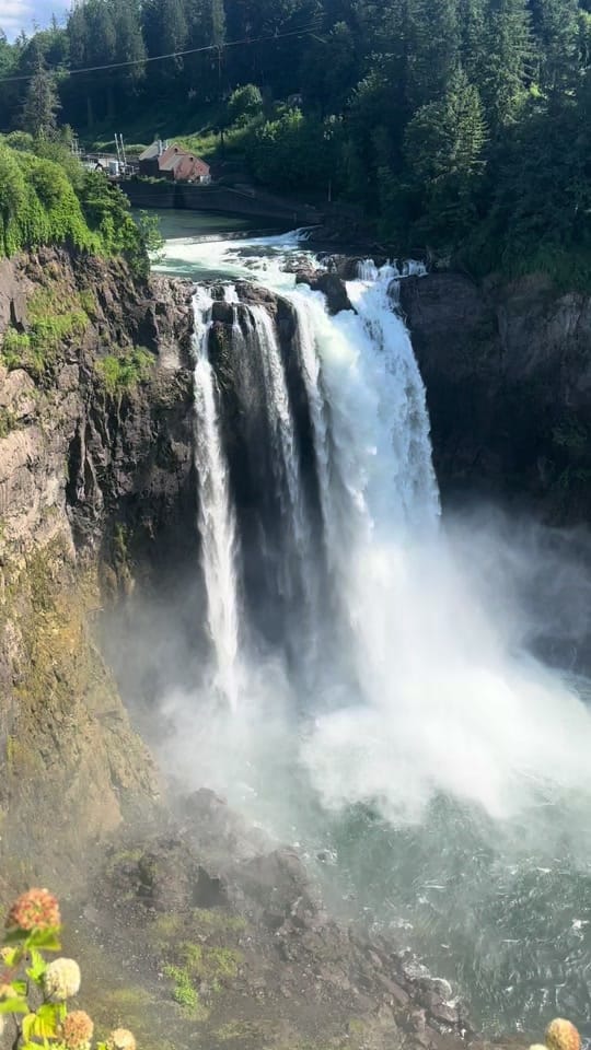 Post 2 by beebopadventures on TikTok (video)