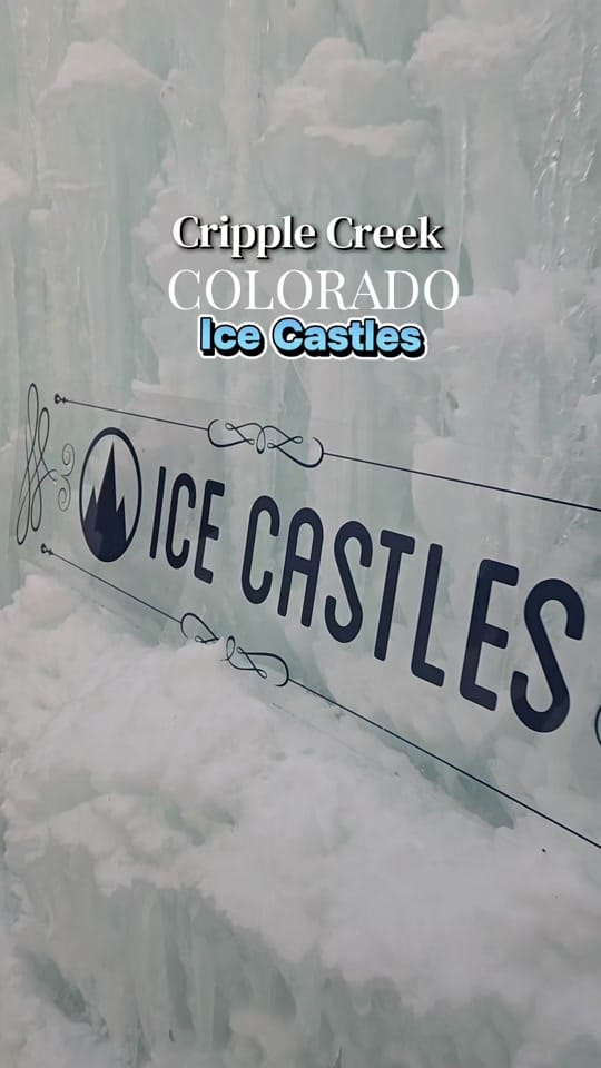 Post 3 by Brigitte Patton on TikTok (video)