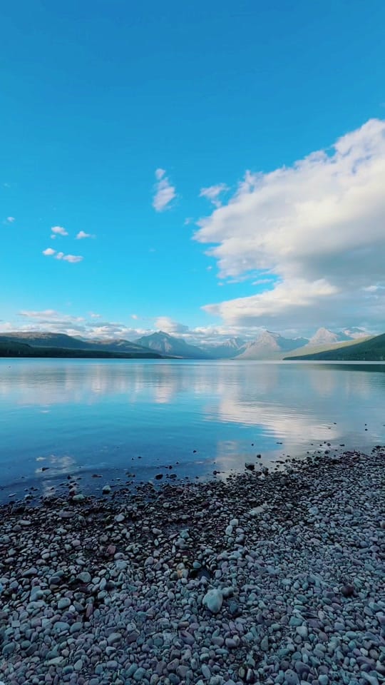 Post 8 by Celia Camacho on TikTok (video)