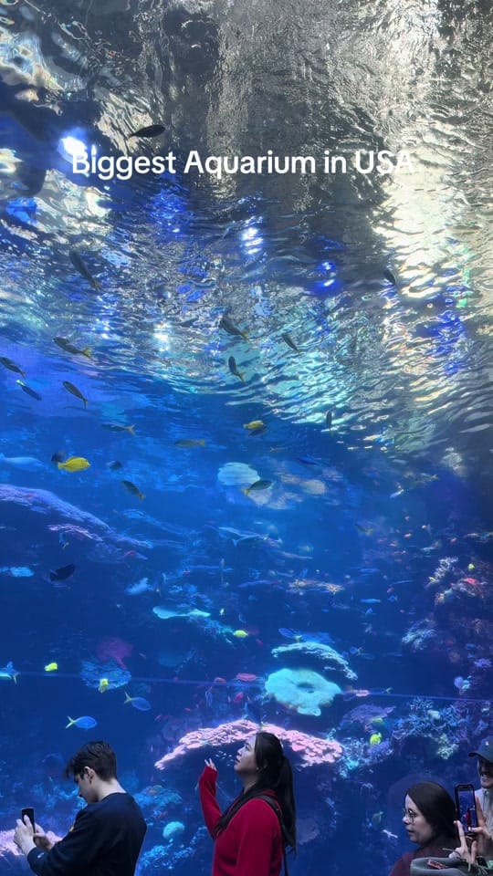 Post 5 by Florida Parks & Beyond on TikTok (video)