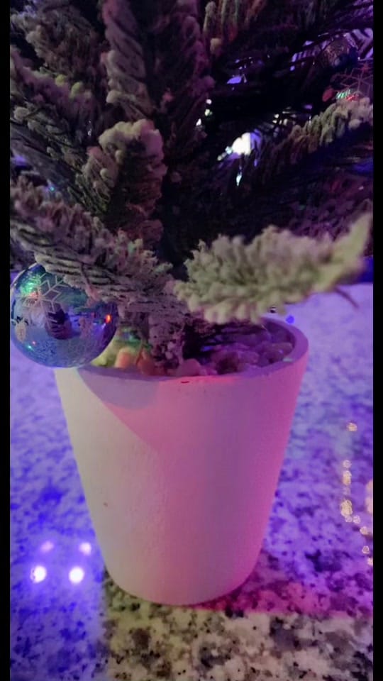 Post 5 by Gilberto Zarate on TikTok (video)