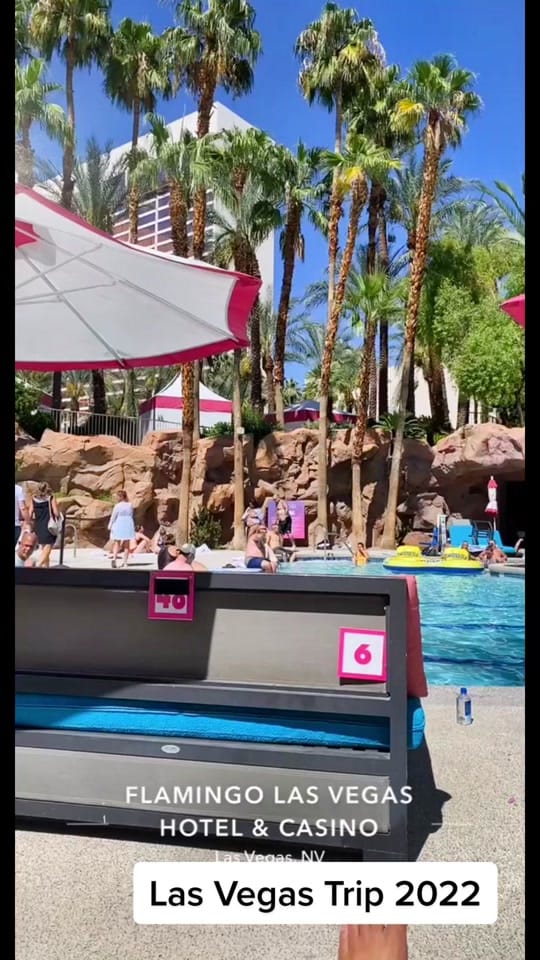 Post 6 by Gilberto Zarate on TikTok (video)