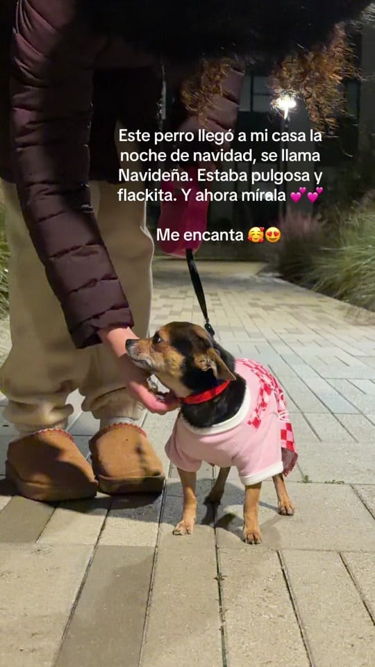Post 3 by Bad Girl on TikTok (video)