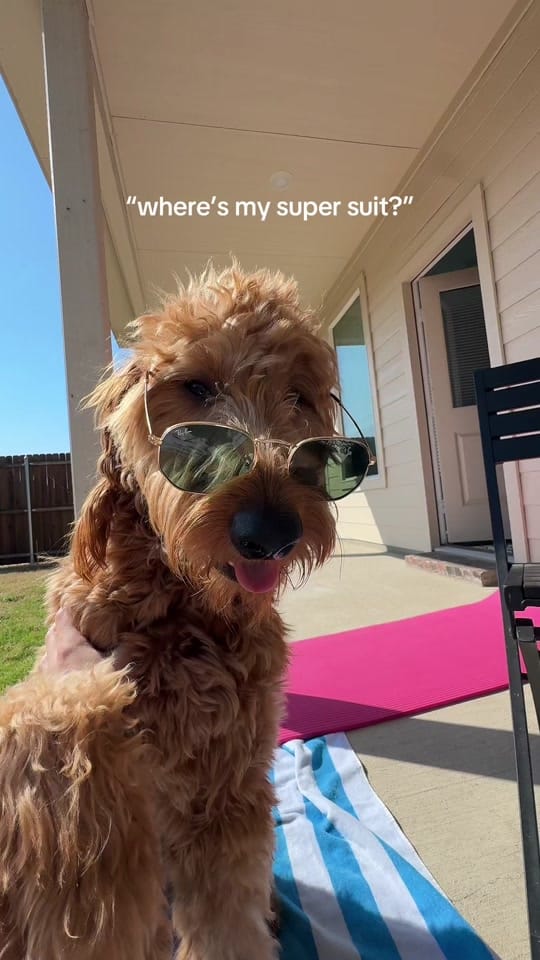 Post 8 by g❣️ on TikTok (video)