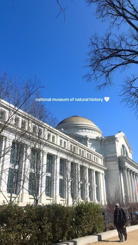 Post 2 by nat 🤍 on TikTok (video)