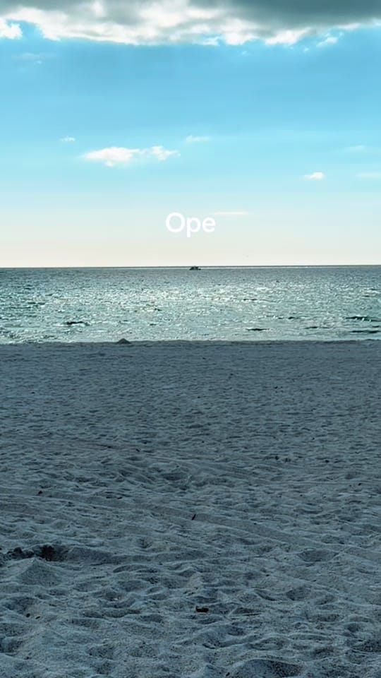 Post 5 by Amber Knese on TikTok (video)