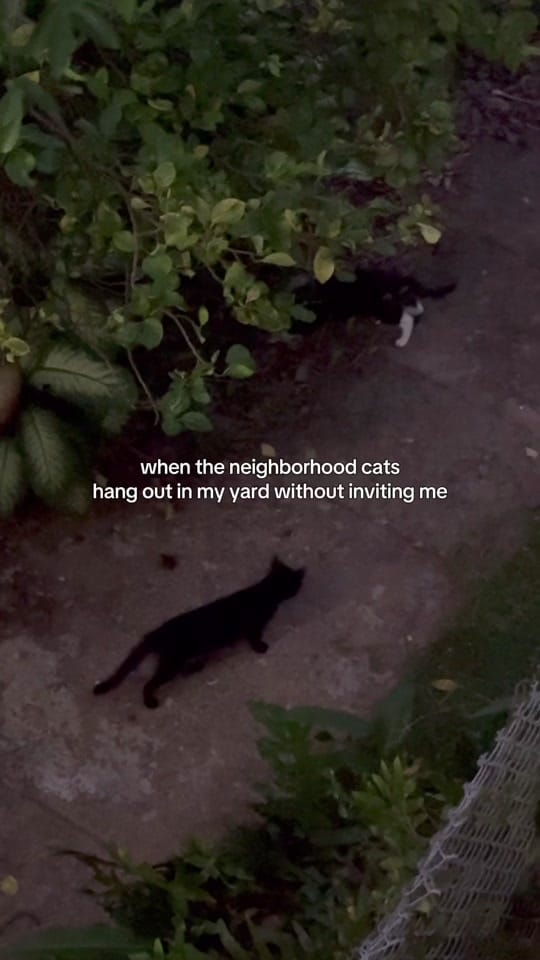 Post 4 by Jared Ranahan on TikTok (video)