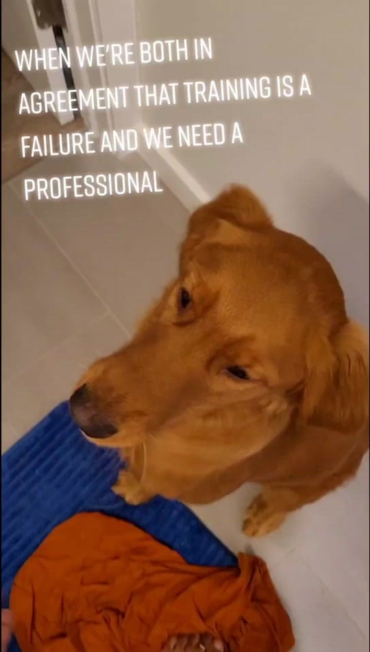 Post 8 by Brittany W on TikTok (video)